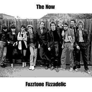 Cover for Now · Fuzztone Fizzadelic (CD) (2008)
