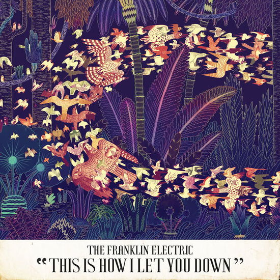 The Franklin Electric - This Is How I Let You Down - The Franklin Electric - Music - ALTERNATIVE - 0623339214421 - 2010