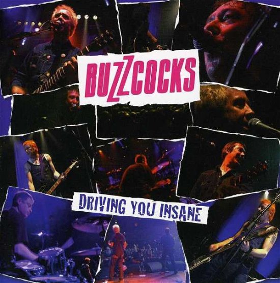 Cover for Buzzcocks · Driving You Insane (CD) (2008)