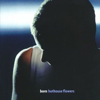 Cover for Hothouse Flowers · Born (CD) (2000)