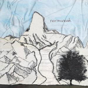 Born A Black Diamond - Normanoak - Musik - SECRETLY CANADIAN - 0656605009421 - 6. Juli 2004