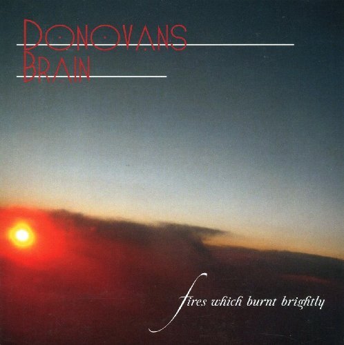 Cover for Donovan's Brain · Fires Which Burnt Brightly (CD) (2016)