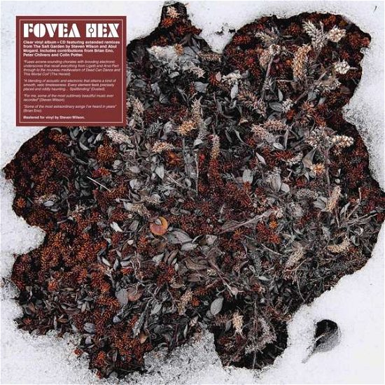 Cover for Fovea Hex · The Salt Garden (Landscaped) (LP) (2021)