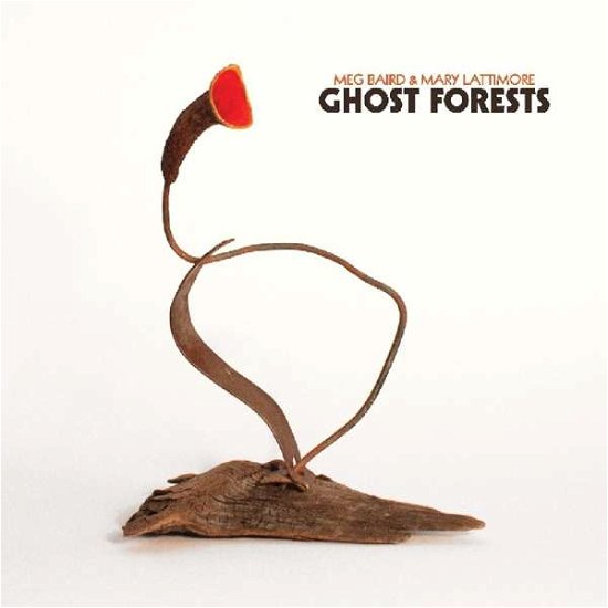 Cover for Baird,meg / Lattimore,mary · Ghost Forests (CD) (2018)