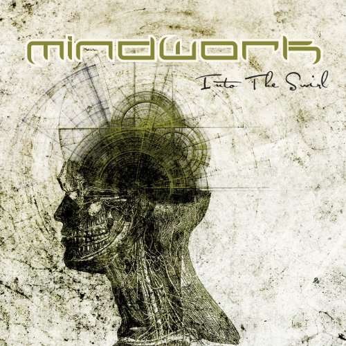 Cover for Mindwork · Into the Swirl (CD) [Deluxe edition] (2017)