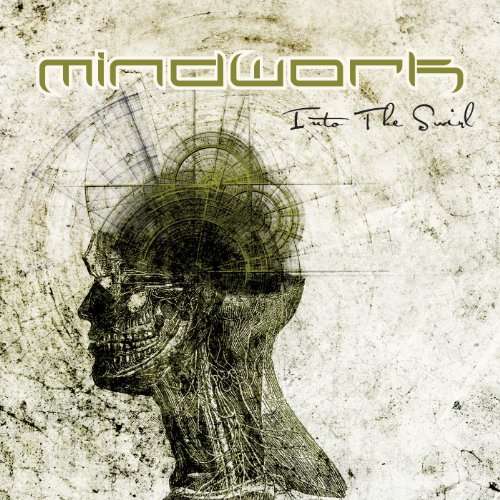 Into the Swirl - Mindwork - Music - DIVEBOMB - 0711576004421 - March 10, 2017