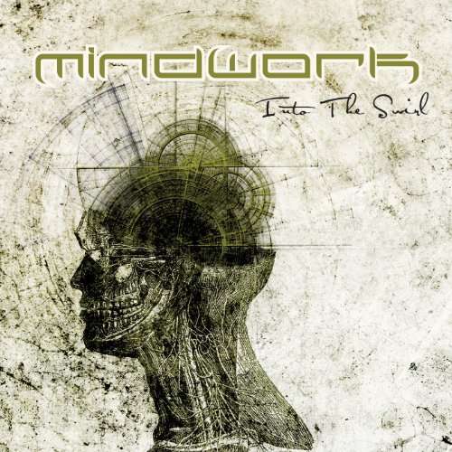 Into the Swirl - Mindwork - Musikk - DIVEBOMB - 0711576004421 - 10. mars 2017