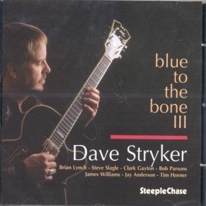 Cover for Dave Stryker · Blue To The Bone Iii (CD) (1999)