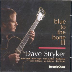 Blue To The Bone Iii - Dave Stryker - Musik - STEEPLECHASE - 0716043152421 - 6. oktober 1999