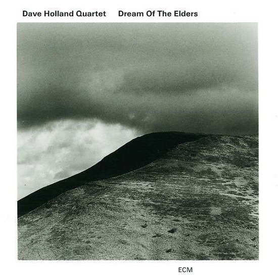 Cover for Holland Dave · Dream of the Elders (CD) (1996)
