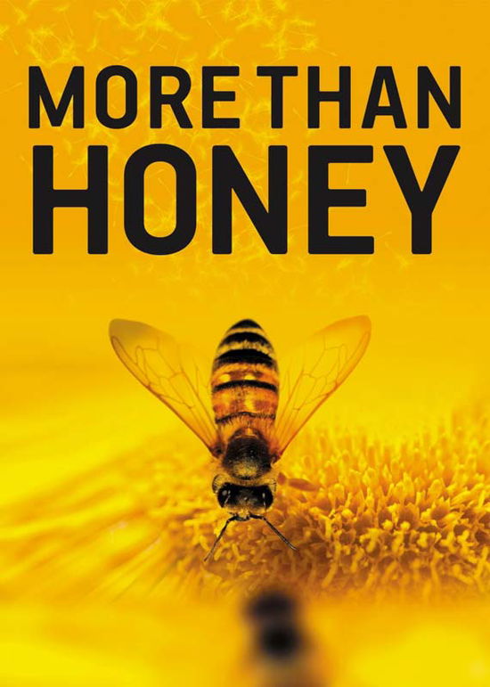 Cover for More Than Honey (DVD) (2013)