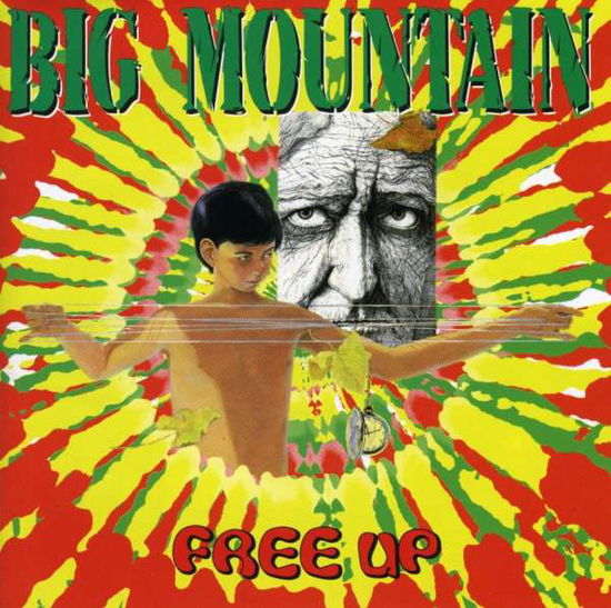 Cover for Big Mountain · Free Up (CD) (2009)