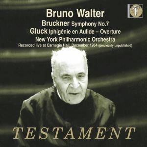 Walter Bruno / Ny Philharmonic Orchestra · Symphony No.  7 Testament Klassisk (CD) (2008)