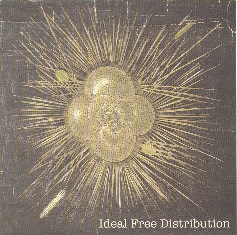 Ideal Free Distribution - Ideal Free Distribution - Musiikki - HAPPY HAPPY BIRTHDAY - 0795103604421 - tiistai 27. helmikuuta 2007