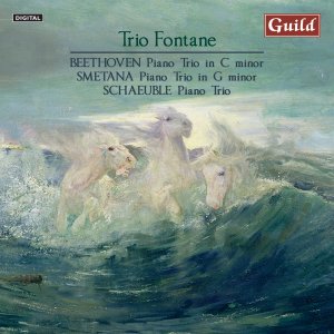 Cover for Beethoven / Trio Fontane / Smetana · Piano Trio in C Minor Op 1 (CD) (2013)