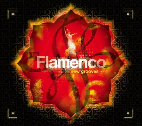 Flamenco New Grooves / Various-Flamenco New Groove - Flamenco New Grooves / Various - Music - WEA Latina - 0825646277421 - March 28, 2006