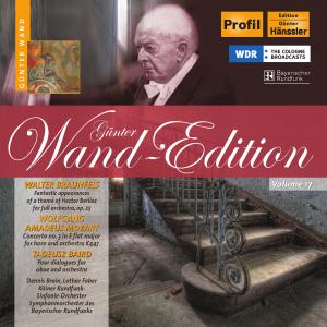 Gunter Wand Edition  Vol 17 - Gunter Wand - Musique - PROFIL - 0881488600421 - 27 février 2012