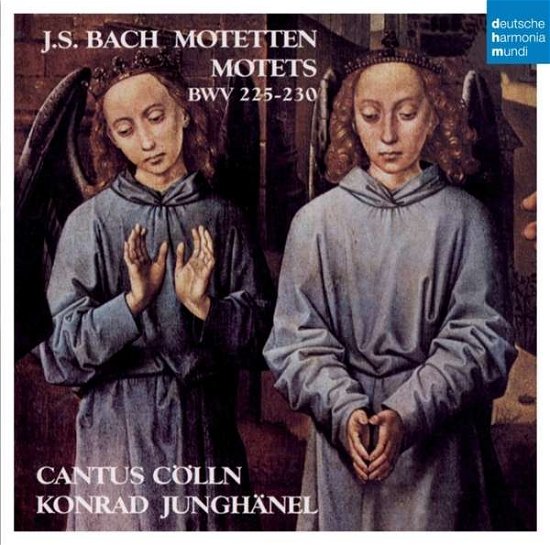 Bach Motets - Cantus Colln - Musik - SI / DEUTSCHE HARMONIA MUNDI - 0888430307421 - 4 februari 2014