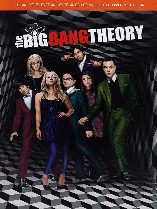 Cover for Kaley Cuoco,johnny Galecki,jim Parsons · Big Bang Theory (The) - Stagione 06 (DVD) (2014)