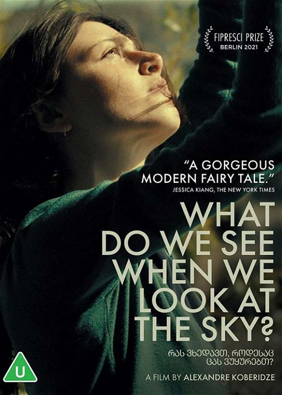 What Do We See When We Look At The Sky - What Do We See when We Look at the S - Films - New Wave Films - 5055159201421 - 27 februari 2023