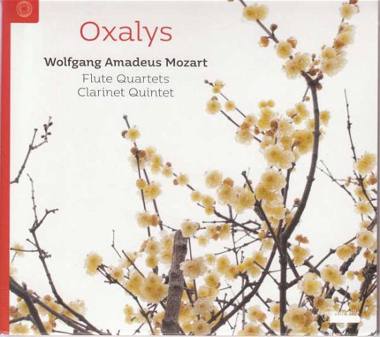 Cover for Mozart · Flute Quartets &amp; Clarinet Quintets (CD) (2018)