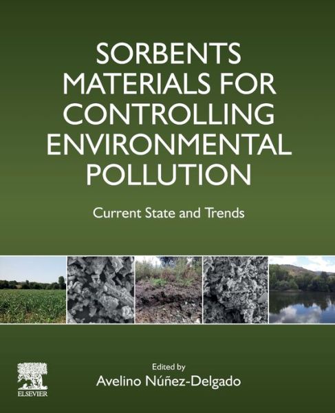 Cover for Sorbents Materials for Controlling Environmental Pollution: Current State and Trends (Paperback Book) (2021)