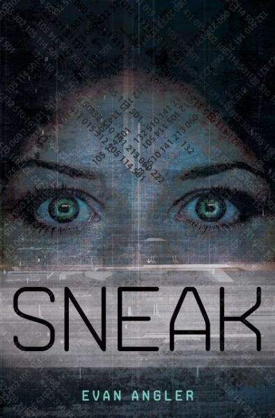 Cover for Evan Angler · Sneak - Swipe Series (Paperback Book) (2012)