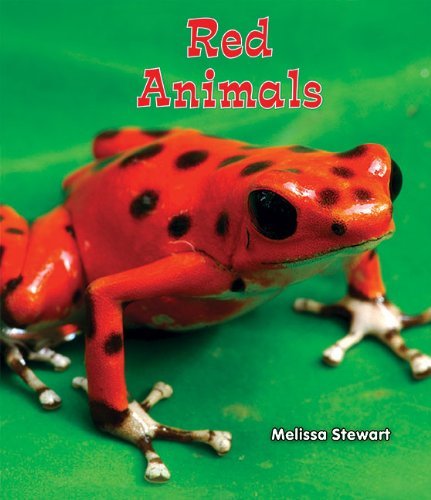 Cover for Melissa Stewart · Red Animals (All About a Rainbow of Animals) (Pocketbok) (2012)