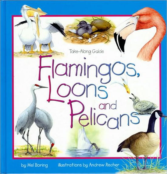 Cover for Mel Boring · Flamingos, Loons &amp; Pelicans - Take Along Guides (Hardcover Book) (2006)