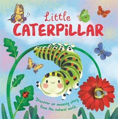Cover for Autumn Publishing · Little Caterpillar - An illustrated story about the life-cycle of a caterpillar (Hardcover bog) (2024)
