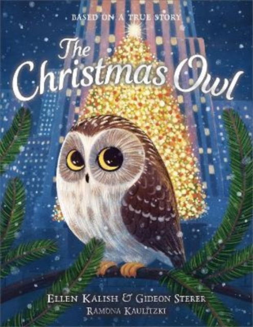 Cover for Gideon Sterer · The Christmas Owl (Hardcover Book) (2022)