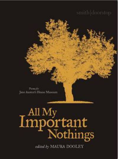 Cover for Maura Dooley · All My Important Nothings (Paperback Book) (2015)