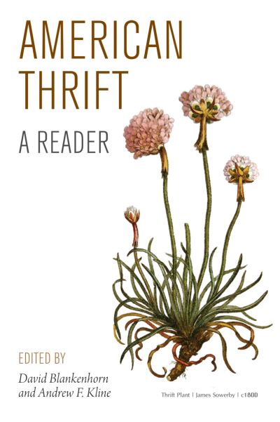 American Thrift - David Blankenhorn - Books - Amp Publishing Group - 9781931764421 - September 1, 2013