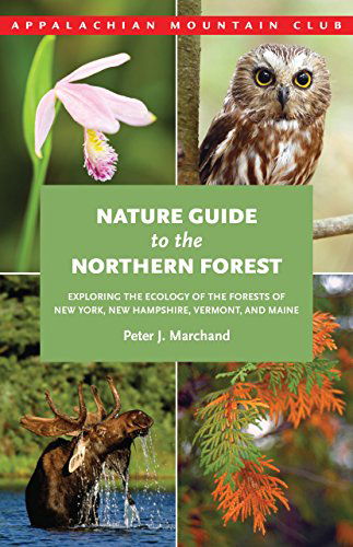 Cover for Peter Marchand · Nature Guide to the Northern Forest: Exploring the Ecology of the Forests of New York, New Hampshire, Vermont, and Maine (Paperback Book) [First edition] (2010)