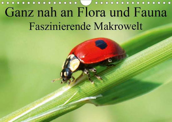 Cover for Fuller · Ganz nah an Flora und Fauna (Wan (Book)