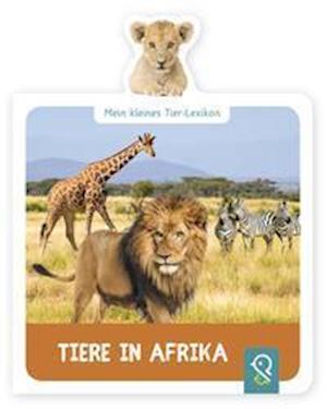 Cover for Hannah Kastenhuber · Mein kleines Tier-Lexikon - Tiere in Afrika (Board book) (2021)