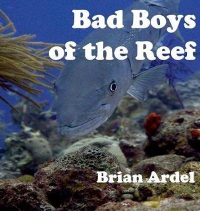 Cover for Brian Ardel · Bad Boys of the Reef (Hardcover Book) (2018)