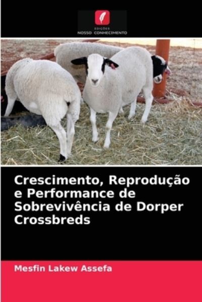 Cover for Mesfin Lakew Assefa · Crescimento, Reproducao e Performance de Sobrevivencia de Dorper Crossbreds (Paperback Book) (2021)