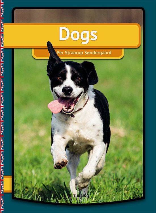 My First Book: Dogs - Per Straarup Søndergaard - Kirjat - Turbine - 9788740600421 - keskiviikko 5. marraskuuta 2014