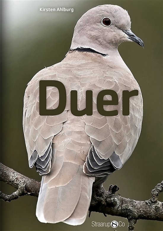 Cover for Kirsten Ahlburg · Duer (Book) (2017)