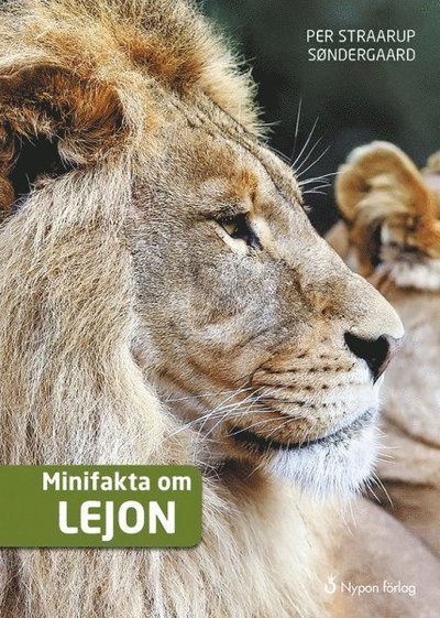 Cover for Per Straarup Søndergaard · Minifakta om ...: Minifakta om lejon (Innbunden bok) (2016)