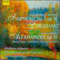 Symphony No. 2 & Alt-Rhapsody - J.m. Haydn / J.haydn - Music - HAENSSLER - 0040888813422 - June 25, 1998