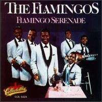 Cover for Flamingos · Flamingo Serenade (CD) (1991)