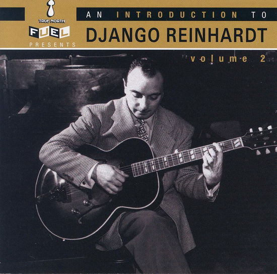 Introduction to Django Reinhardt - Django Reinhardt - Musique - BLUES - 0620638050422 - 30 juin 1990