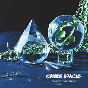 Cover for Outer Spaces · A Shedding Snake (CD) (2016)