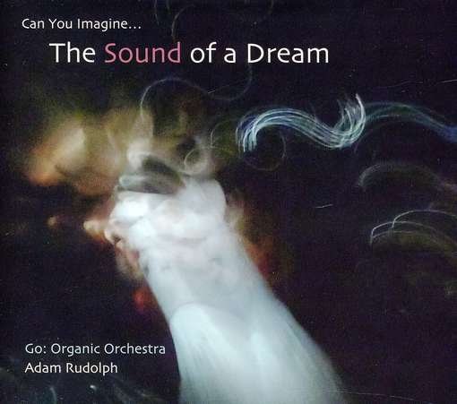 Cover for Adam Rudolph · Go: Organic Orchestra - Can You Imagine the Sound (CD) (2011)