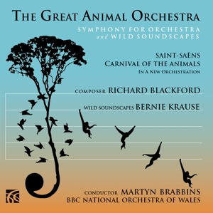 Cover for R. Blackford · Great Animal Orchestra (CD) (2014)