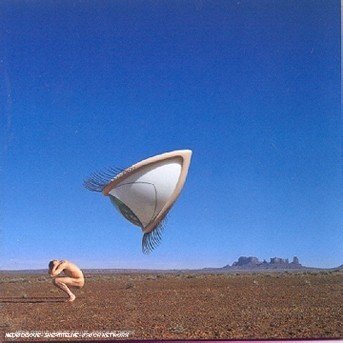 Cover for The Cranberries · Bury the Hatchet (CD) (1999)