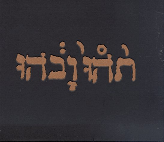 Cover for Godspeed You! Black Emperor · Slow Riot for New KANADA (MCD) [EP edition] (1999)