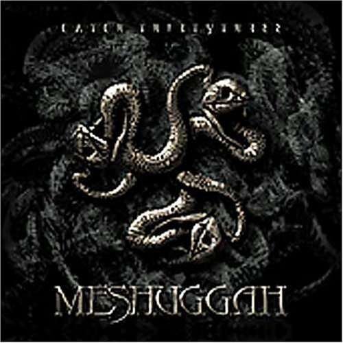 Cover for Meshuggah · Catch 33 (LP) [Picture Disc edition] (2005)